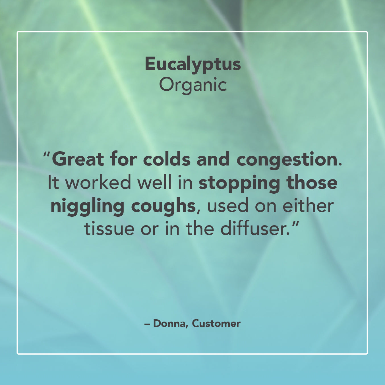 Eucalyptus Organic Essential Oil