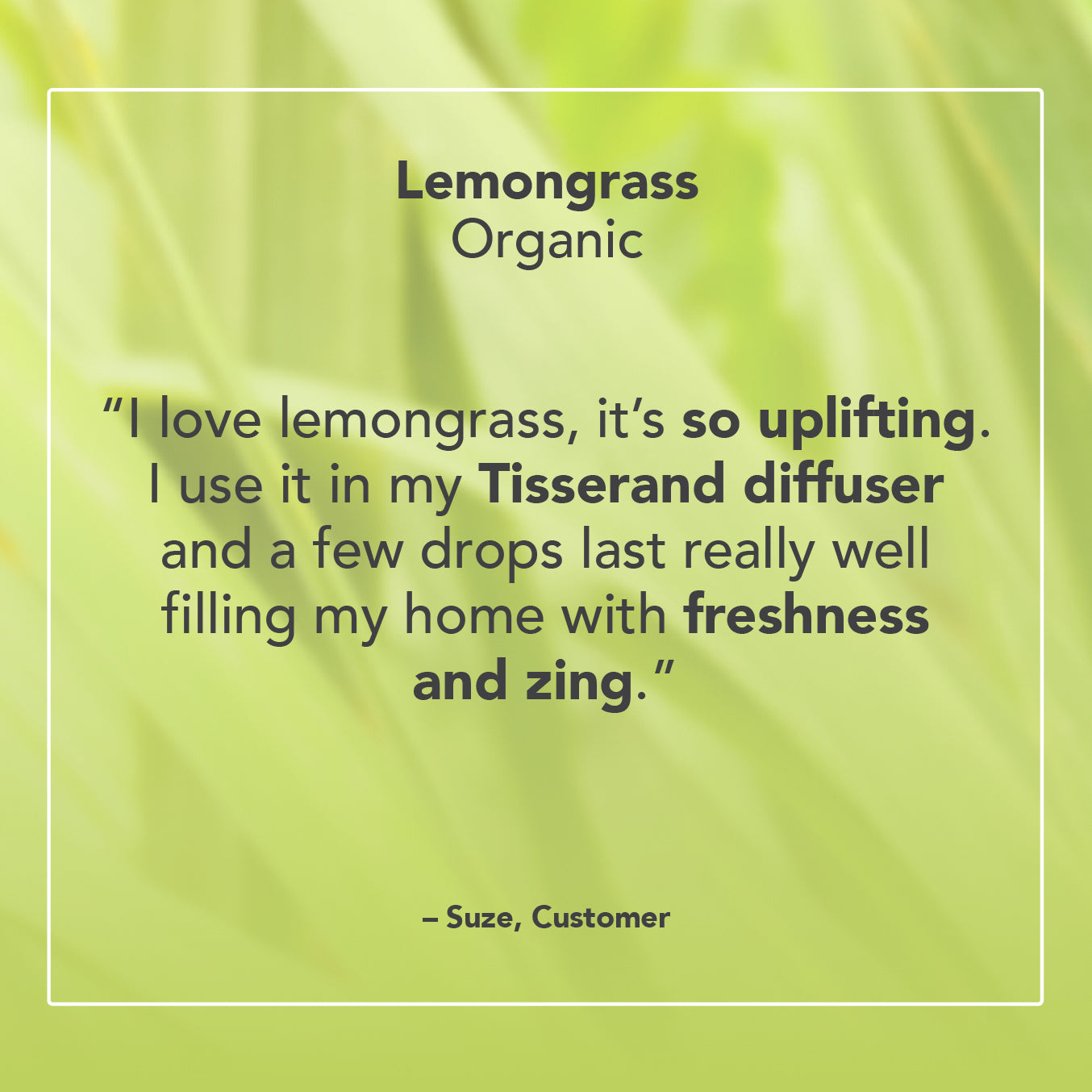 Lemongrass Essential Oil