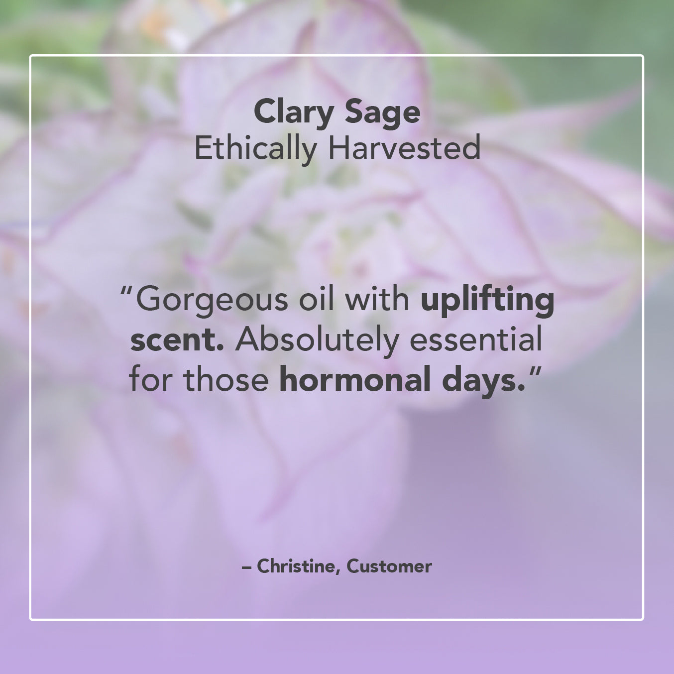 Clary Sage Essential Oil