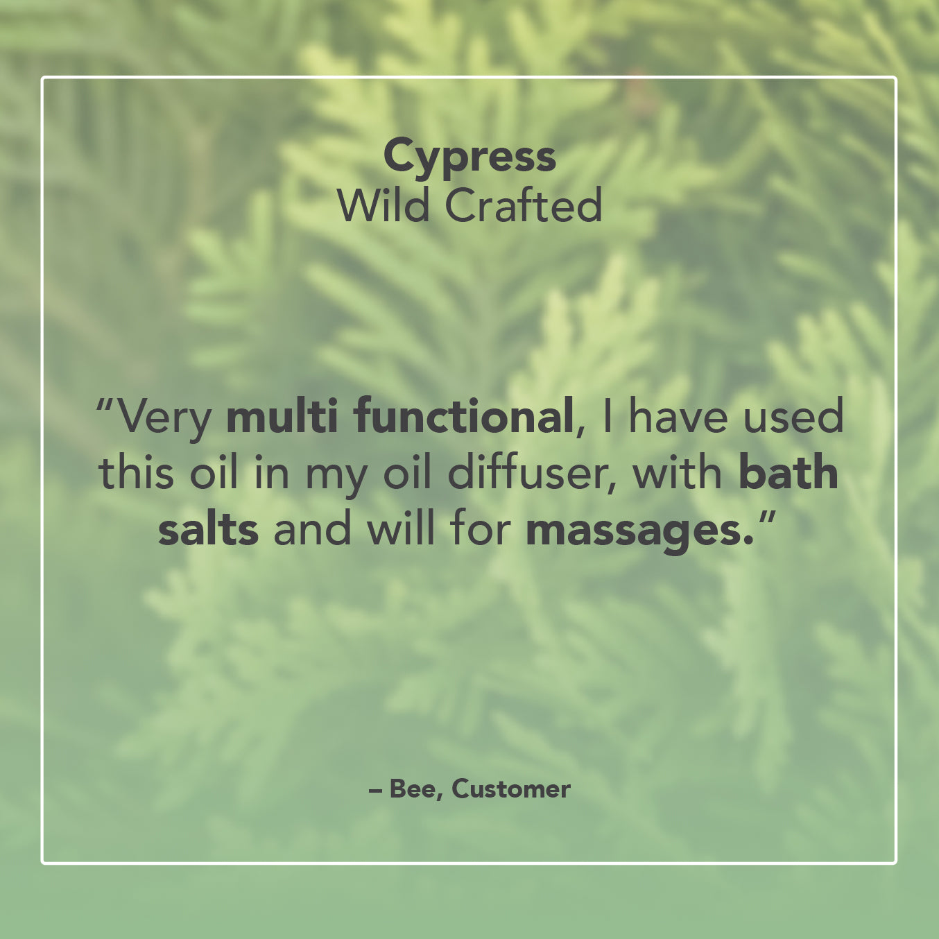 Cypress Essential Oil