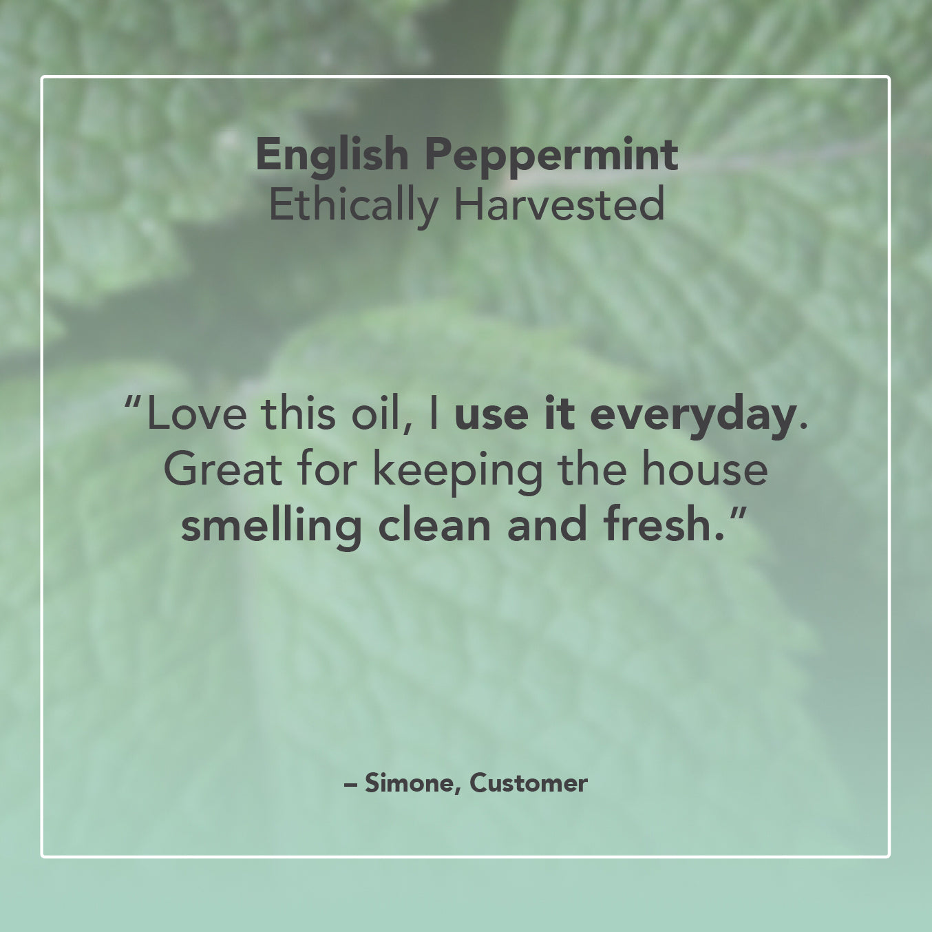 English Peppermint Essential Oil