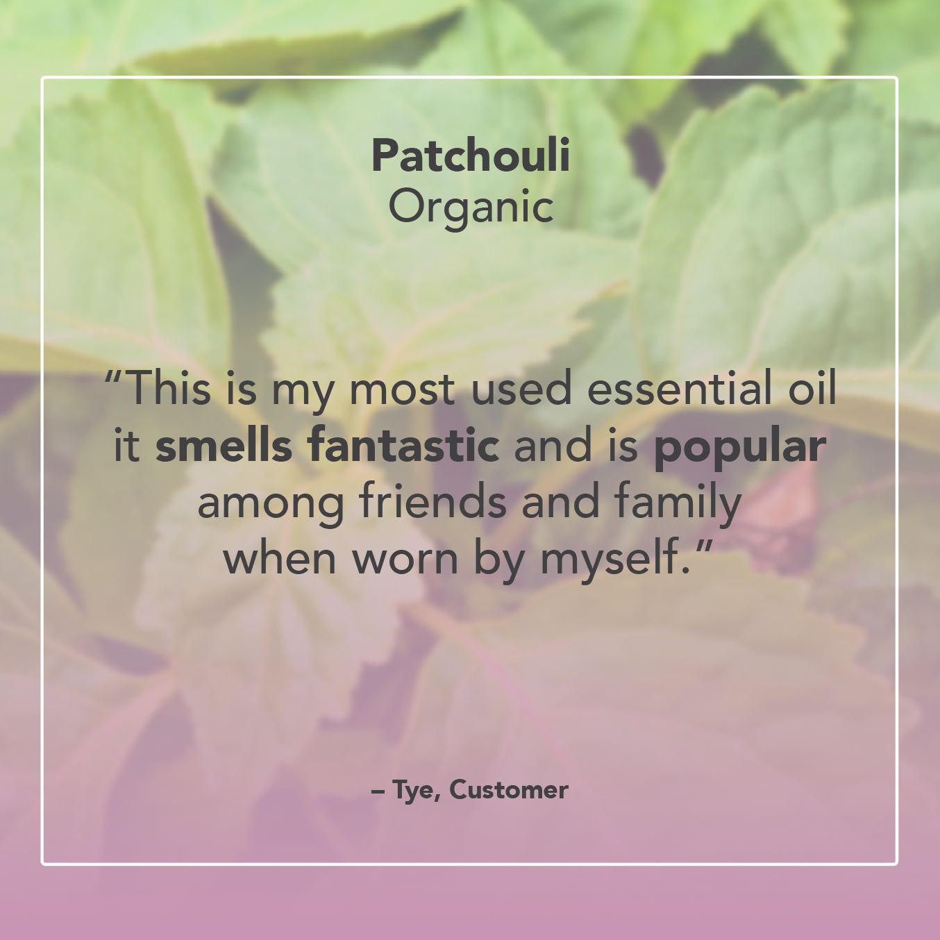 Patchouli Essential Oil