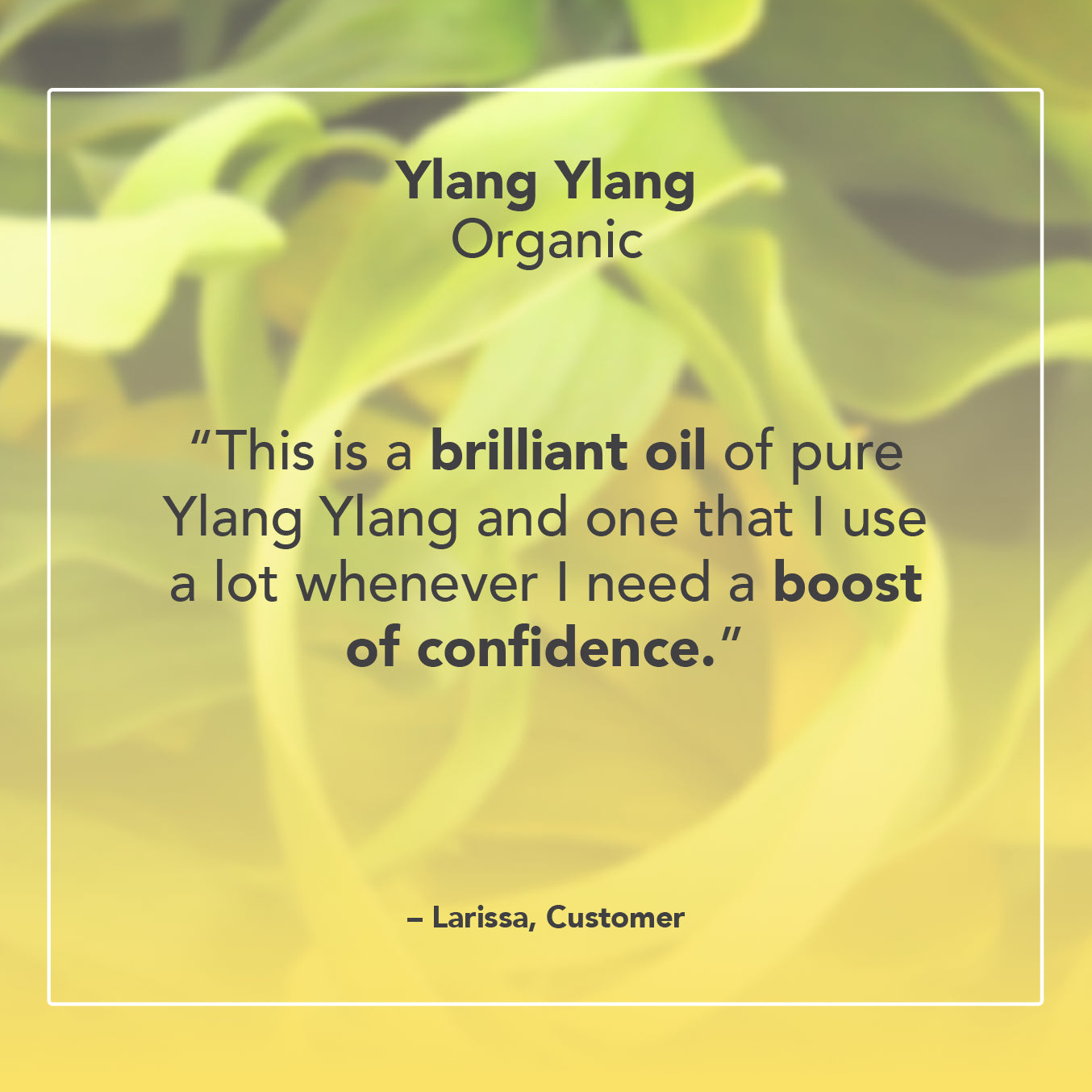 Ylang Ylang Essential Oil