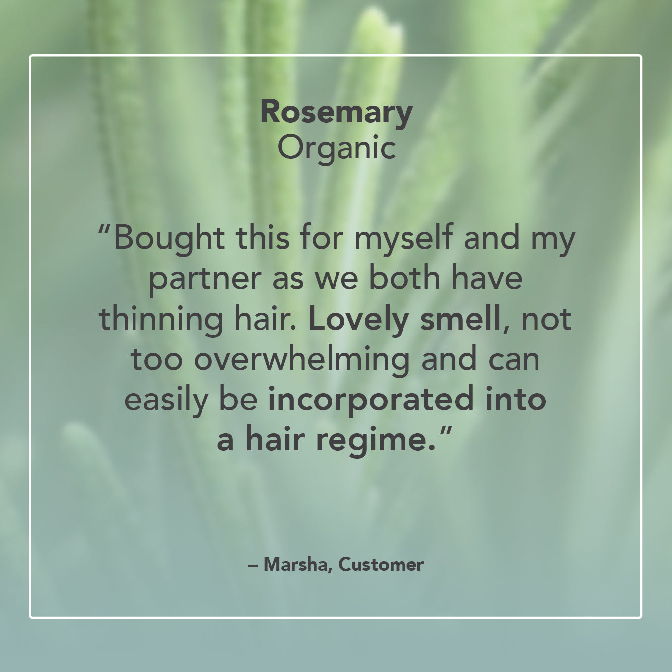 Rosemary Organic Essential Oil