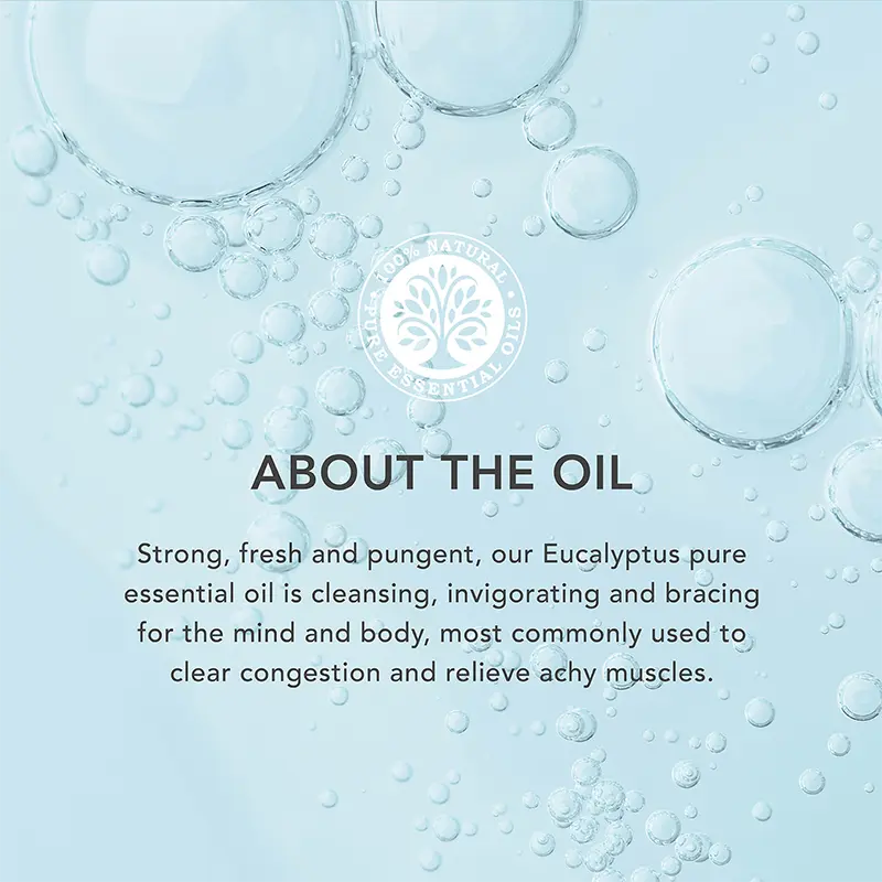 Eucalyptus About the Oil