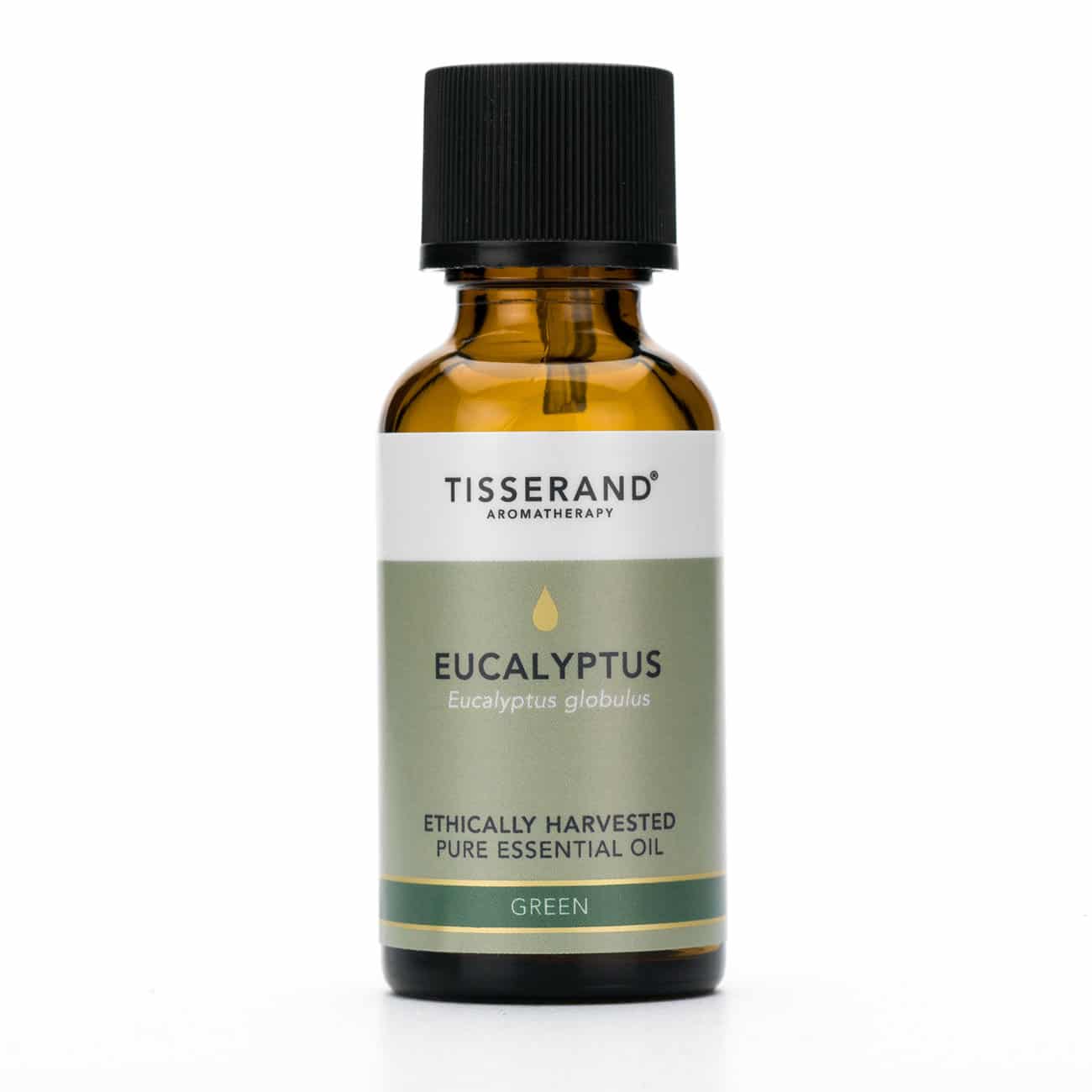 Eucalyptus Ethically Harvested Pure Essential Oil 30ml