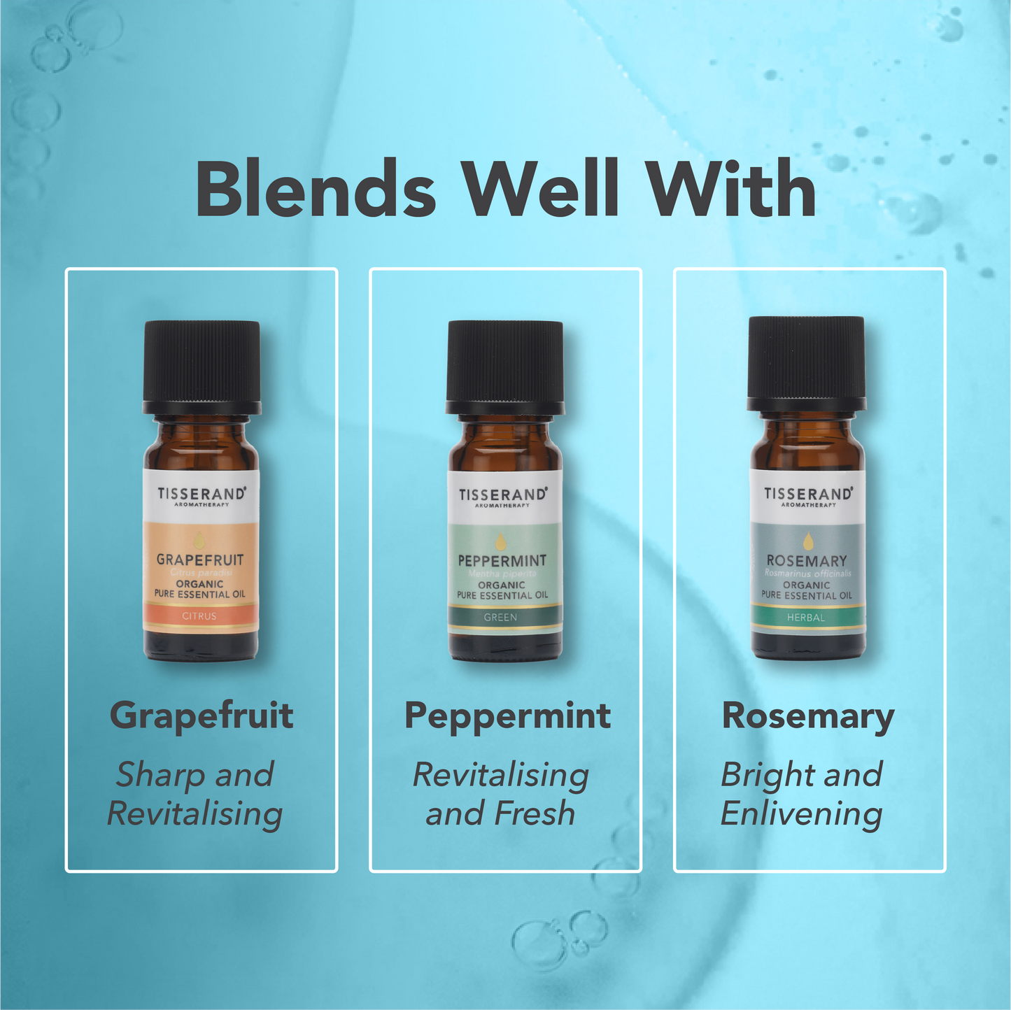 Eucalyptus Organic Essential Oil