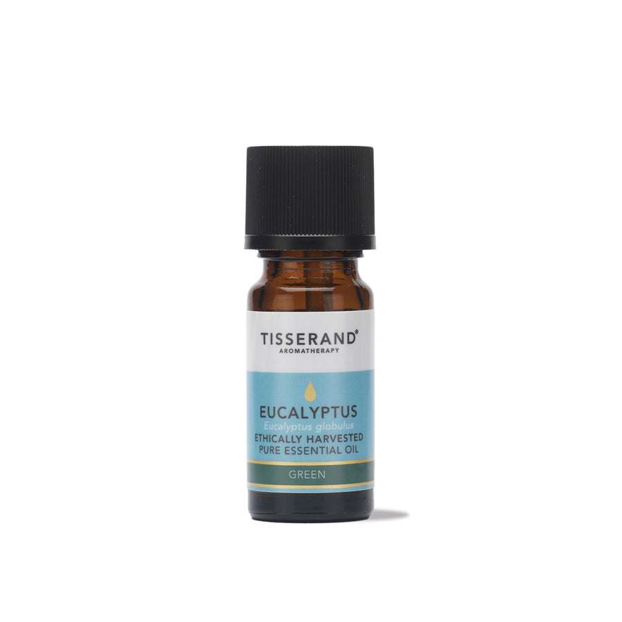 Eucalyptus Ethically Harvested Essential Oil