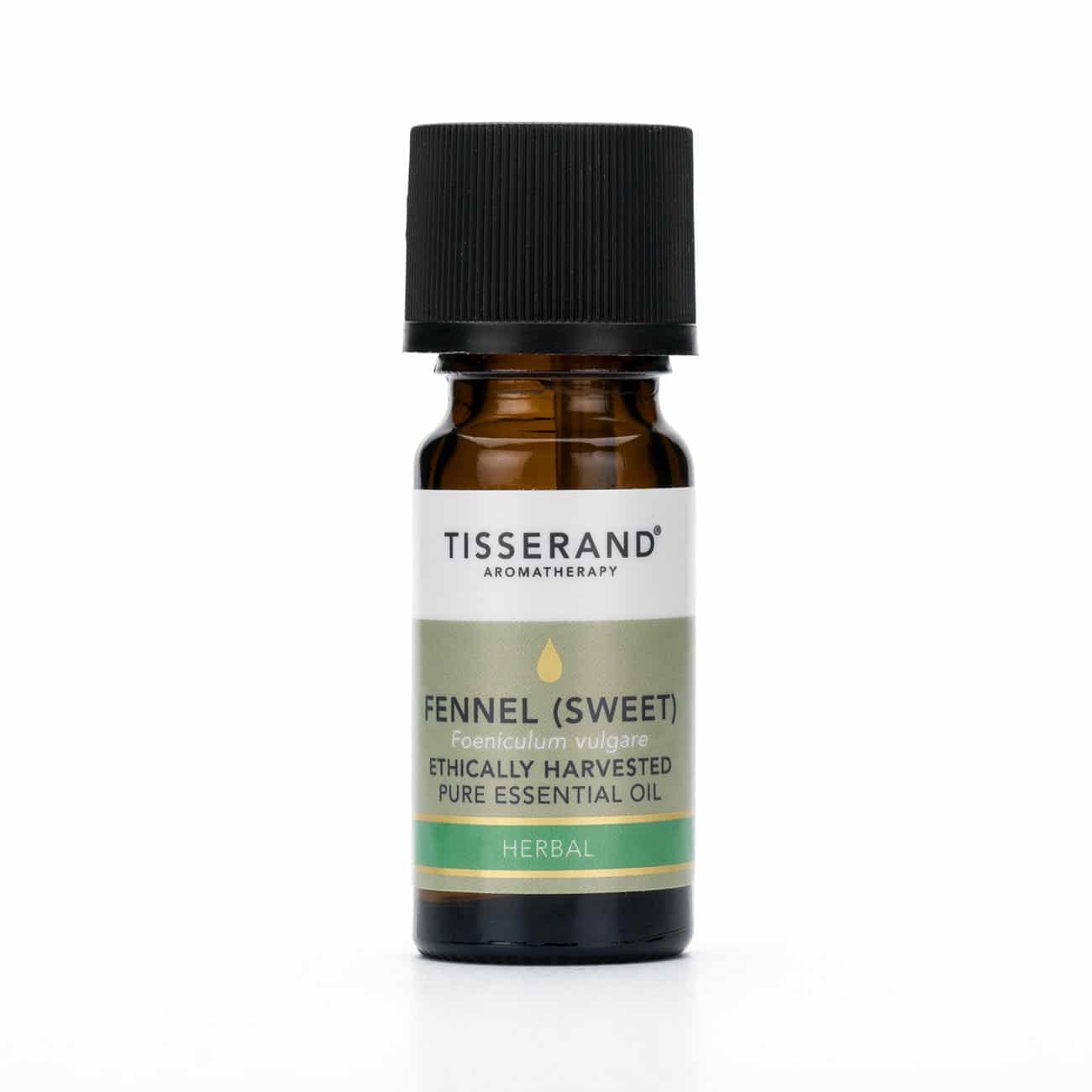 Fennel (Sweet) Ethically Harvested Pure Essential Oil 9ml