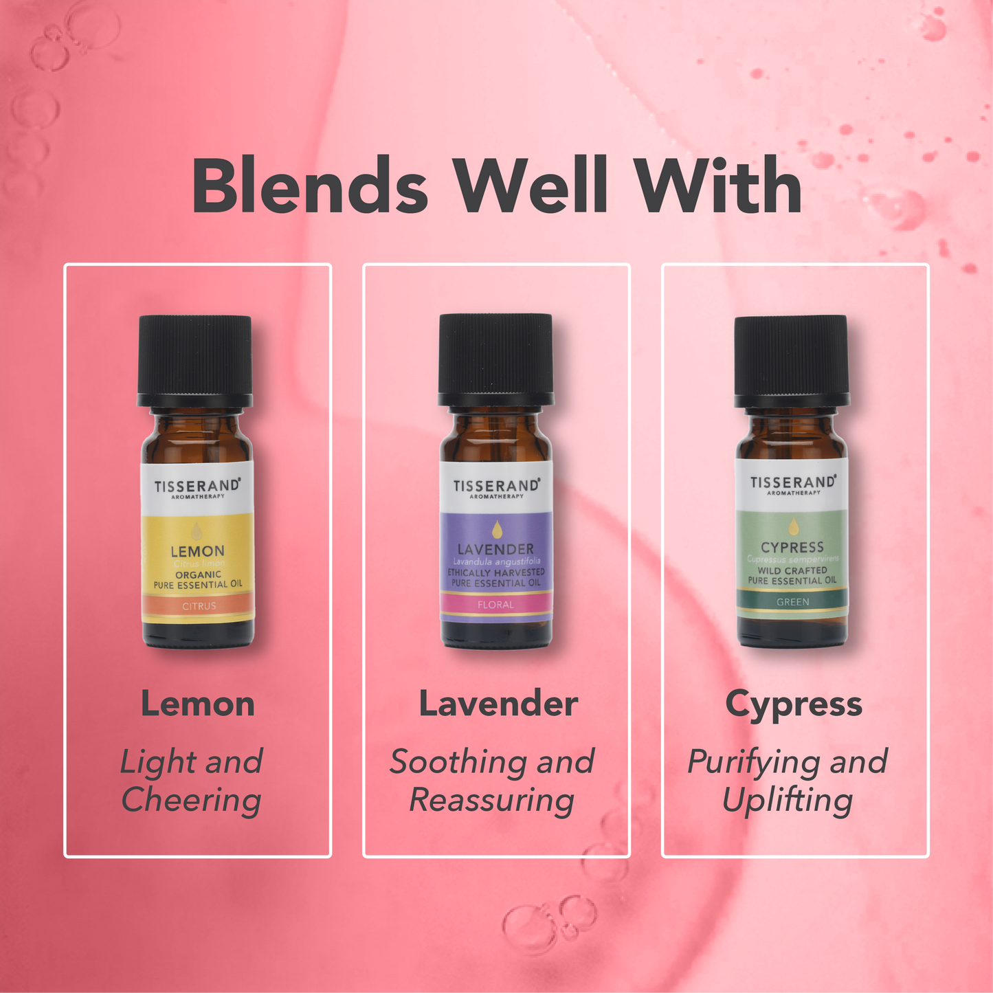 Geranium Essential Oil