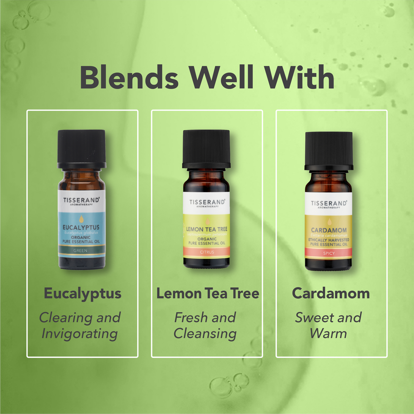 Marjoram Spanish Essential Oil