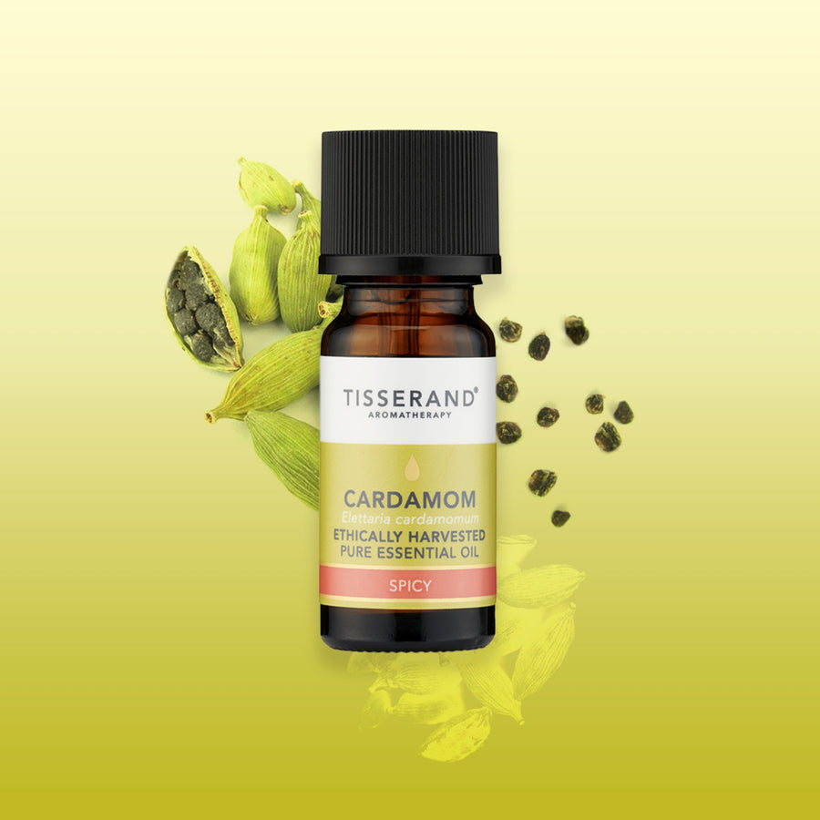 Cardamom Essential Oil