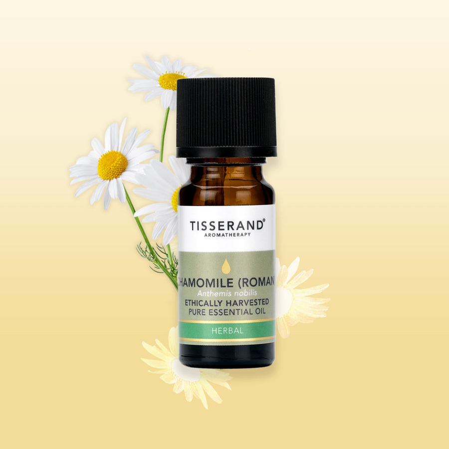Chamomile Roman Essential Oil