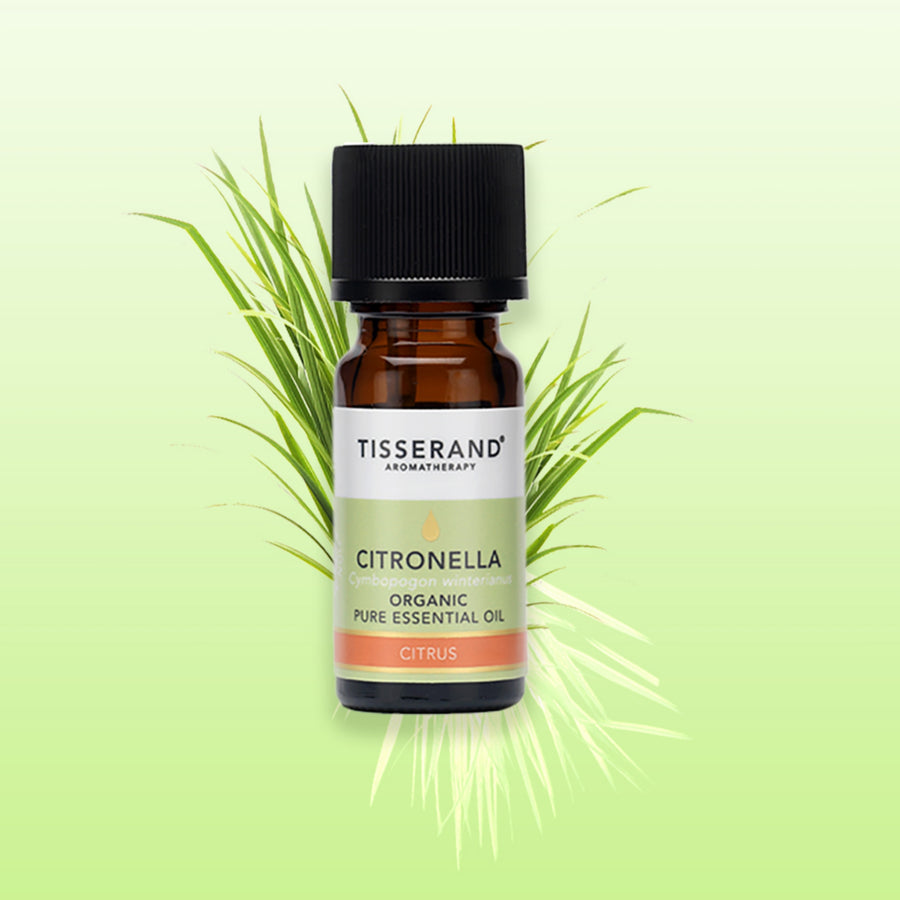 Citronella Essential Oil
