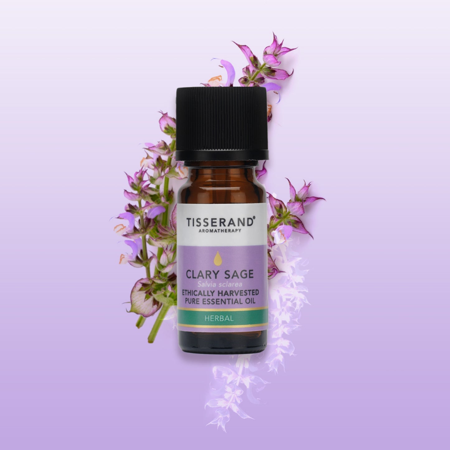 Clary Sage Essential Oil