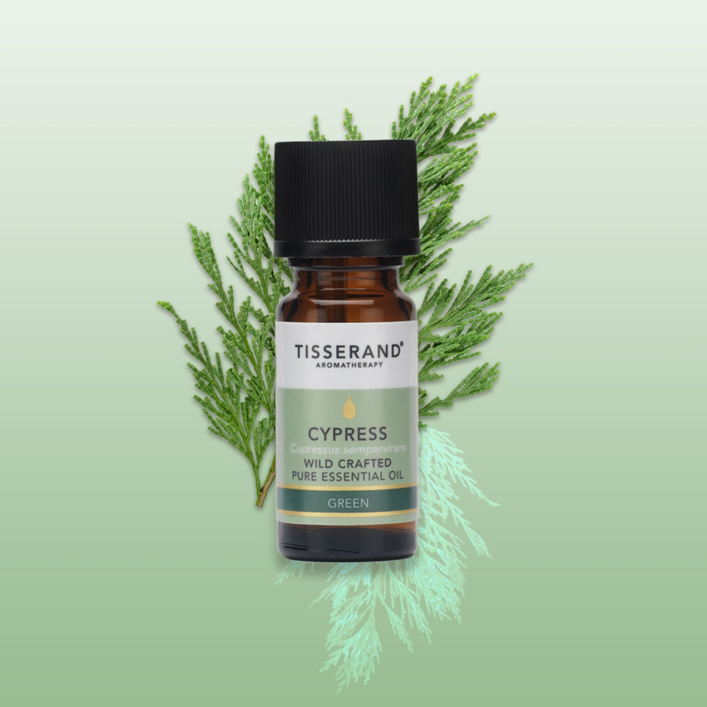 Cypress Essential Oil