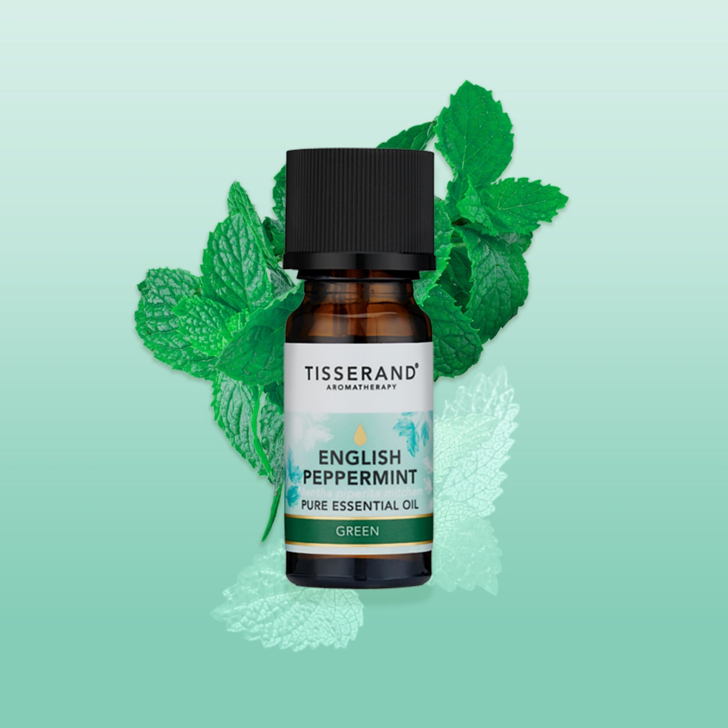 English Peppermint Essential Oil