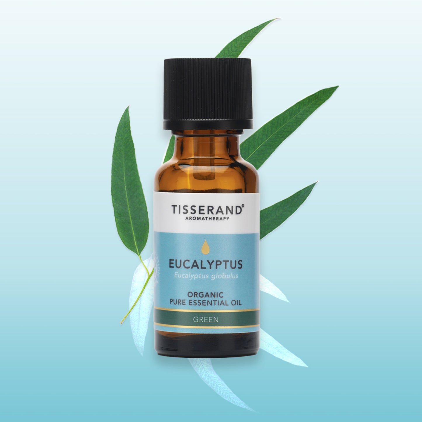 Eucalyptus Organic Essential Oil