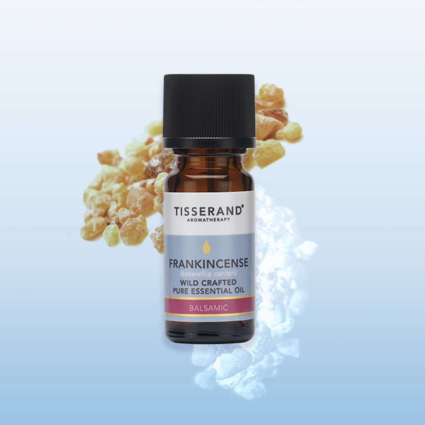 Top Ten Essential Oils Collection