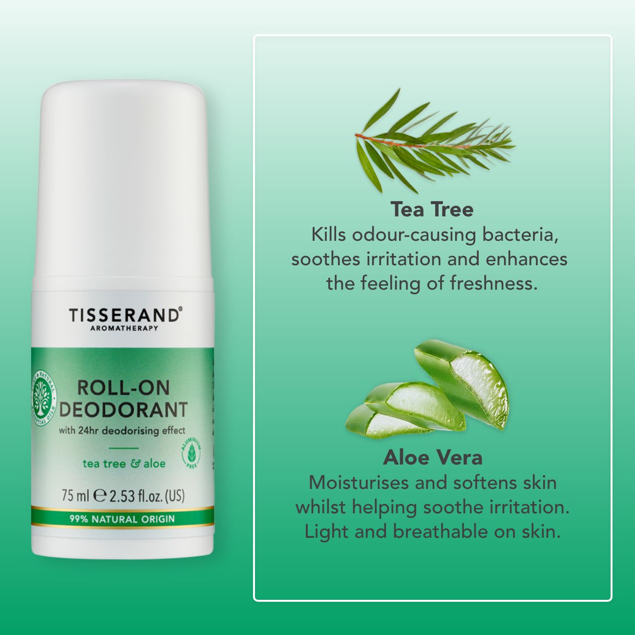 Tea Tree & Aloe Roll-On Deodorant