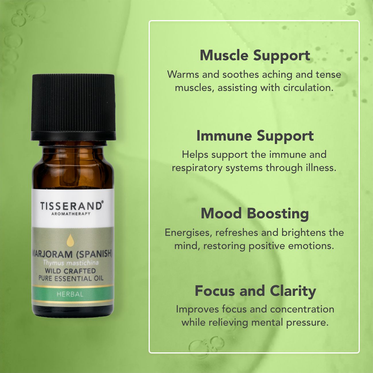 Marjoram Spanish Essential Oil