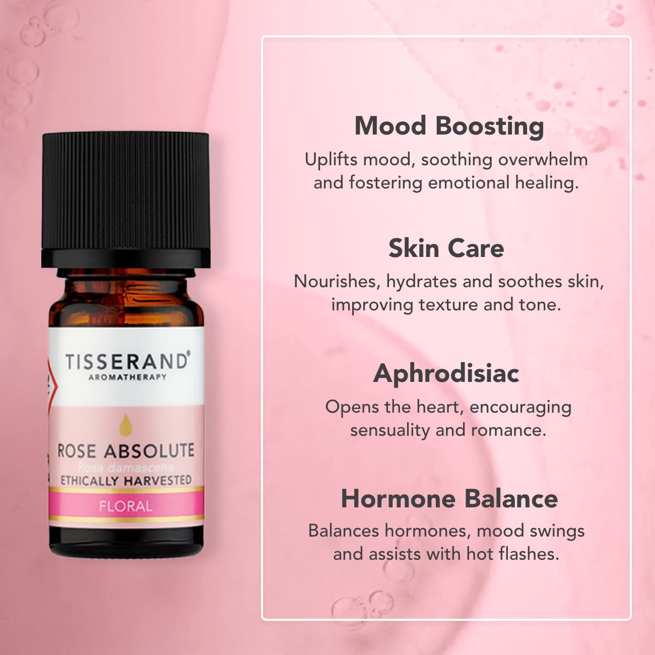 Rose Absolute Oil