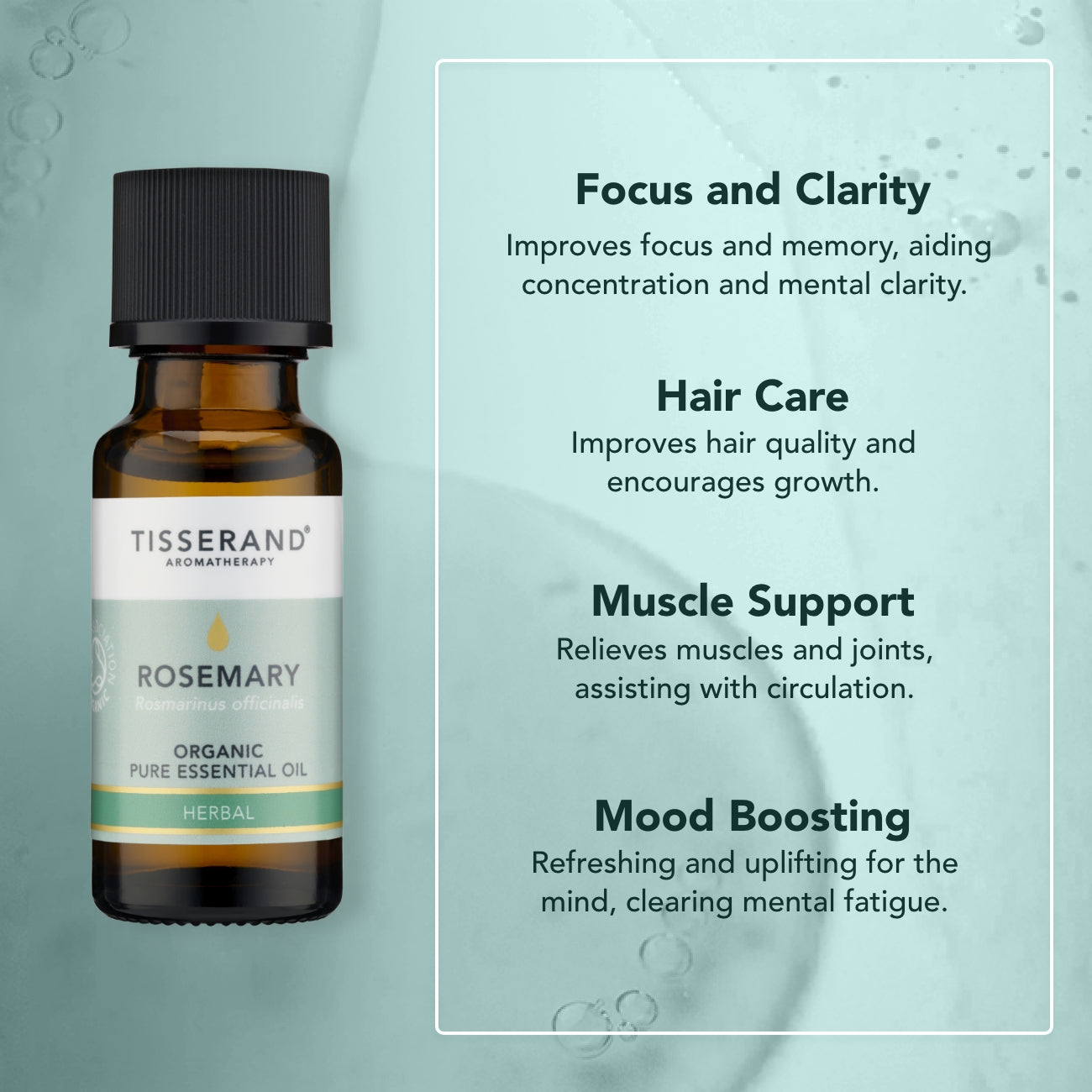 Rosemary Organic Essential Oil