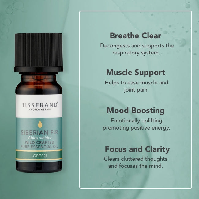 Siberian Fir Essential Oil