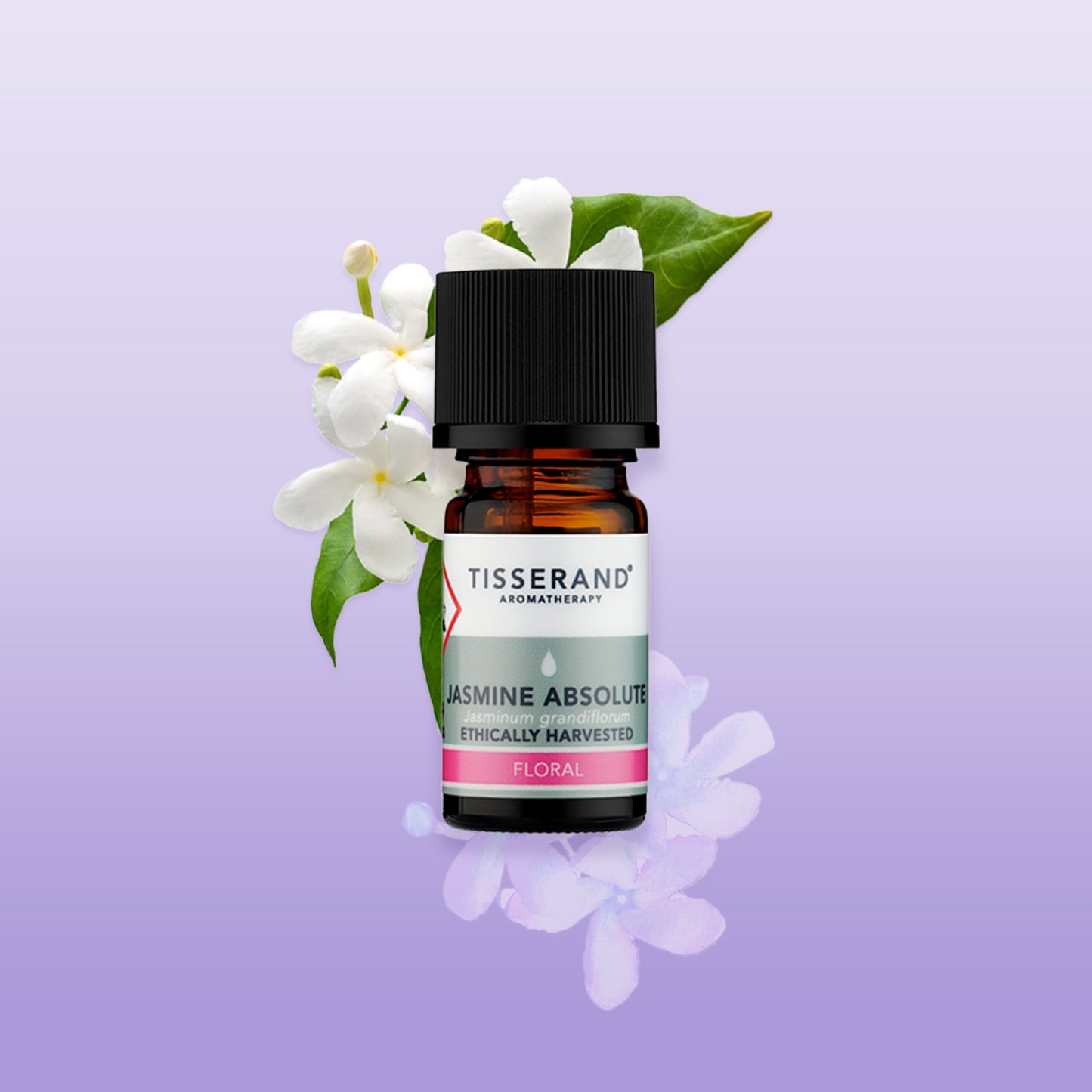 Jasmine Absolute Oil