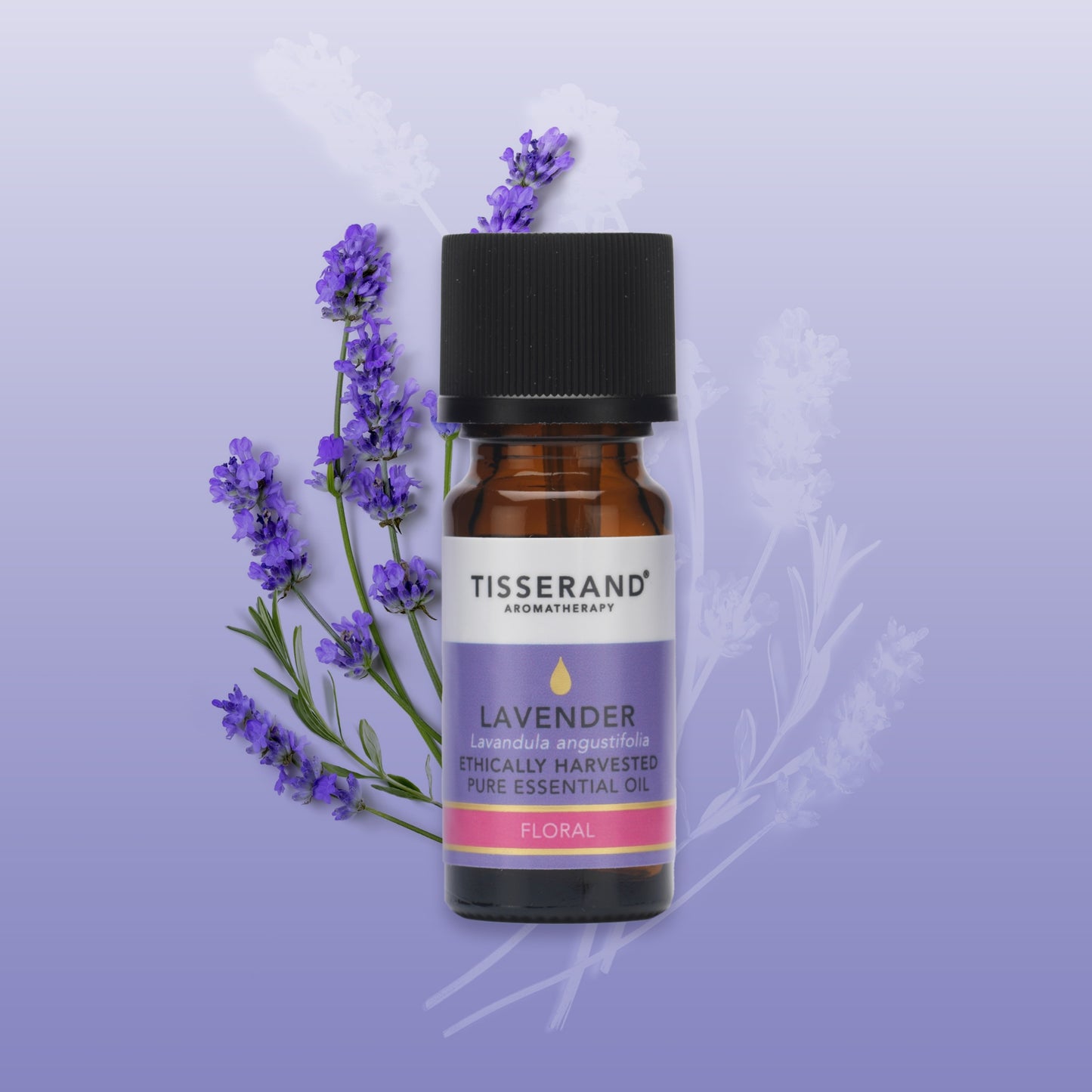 Lavender Ethically Harvested