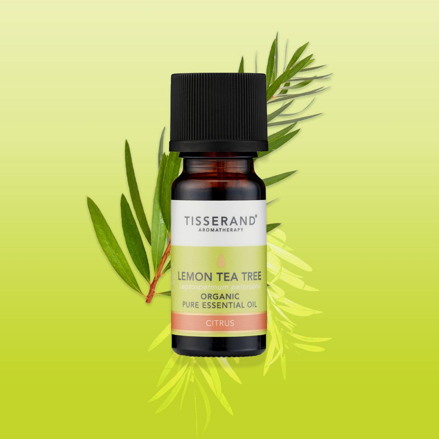 Lemon Tea Tree Essential Oil