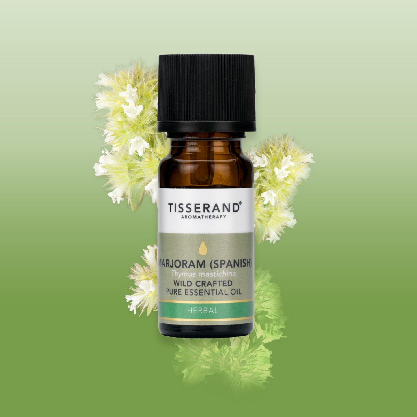 Marjoram Spanish Essential Oil