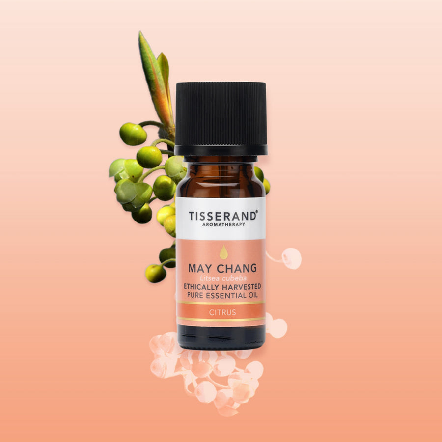 May Chang Essential Oil