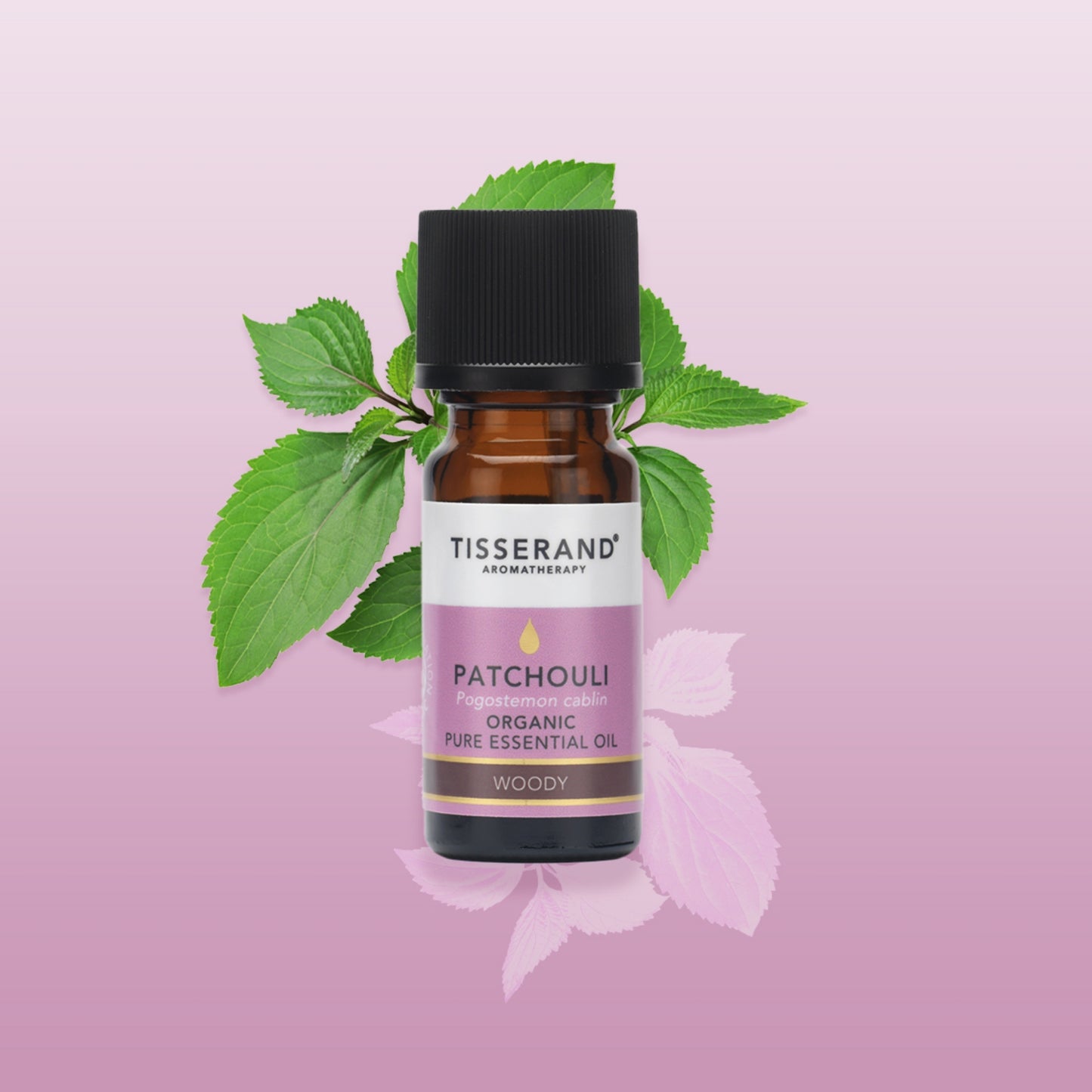 Patchouli Essential Oil