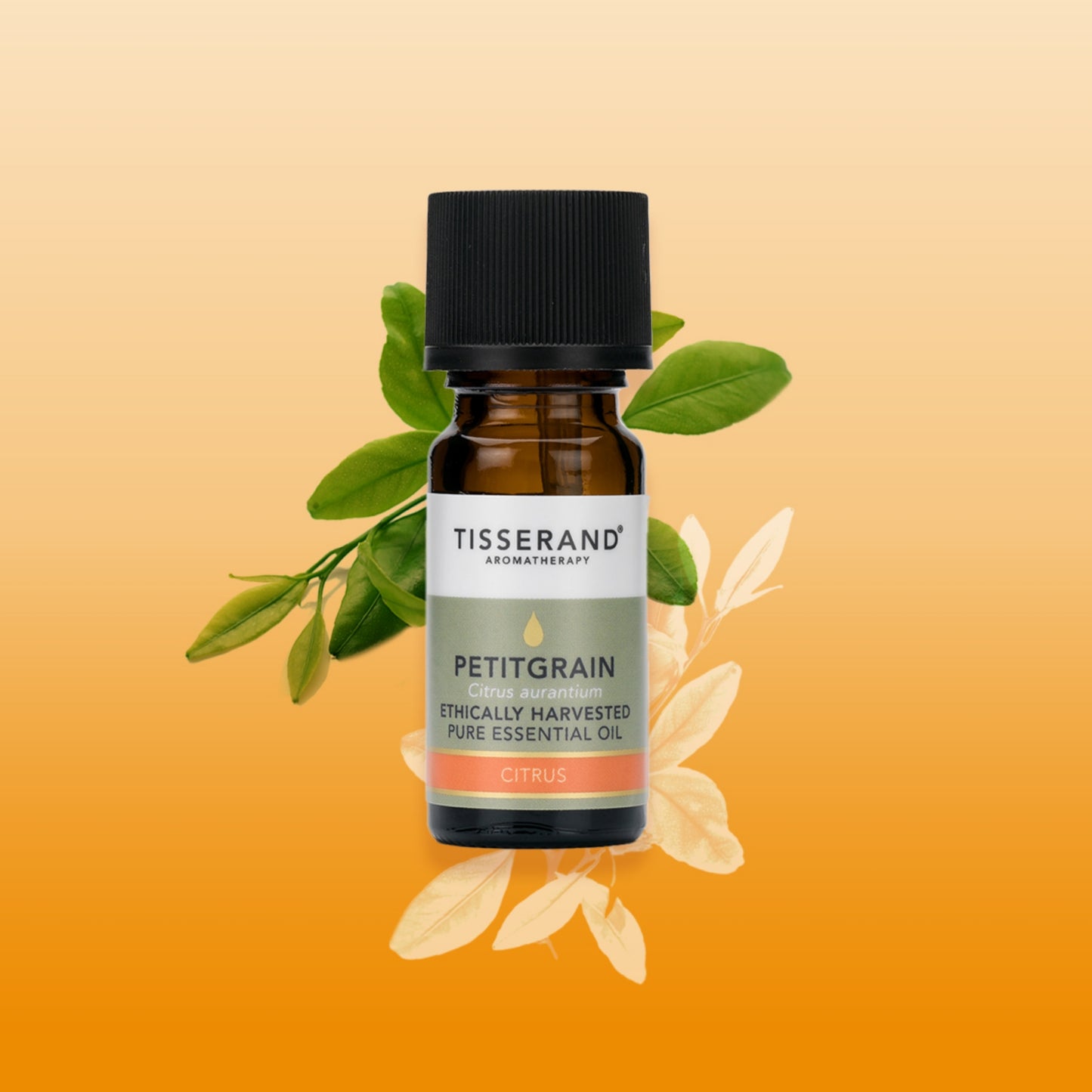Petitgrain Essential Oil