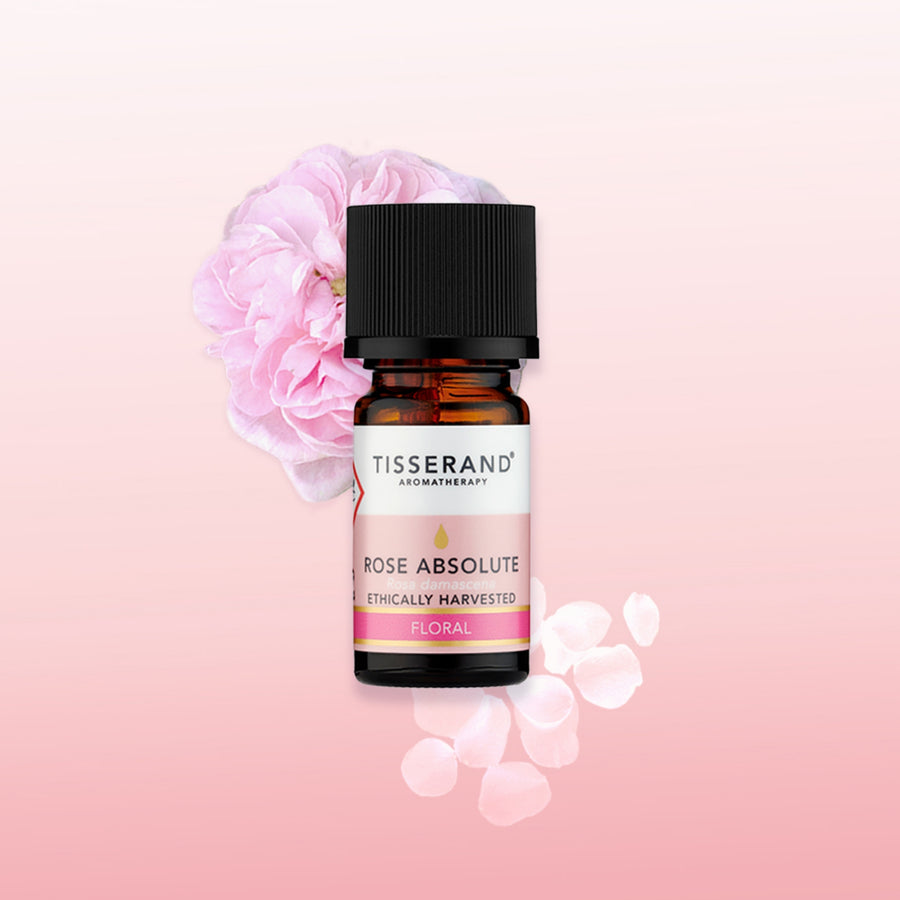 Rose Absolute Oil