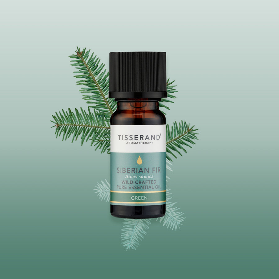 Siberian Fir Essential Oil