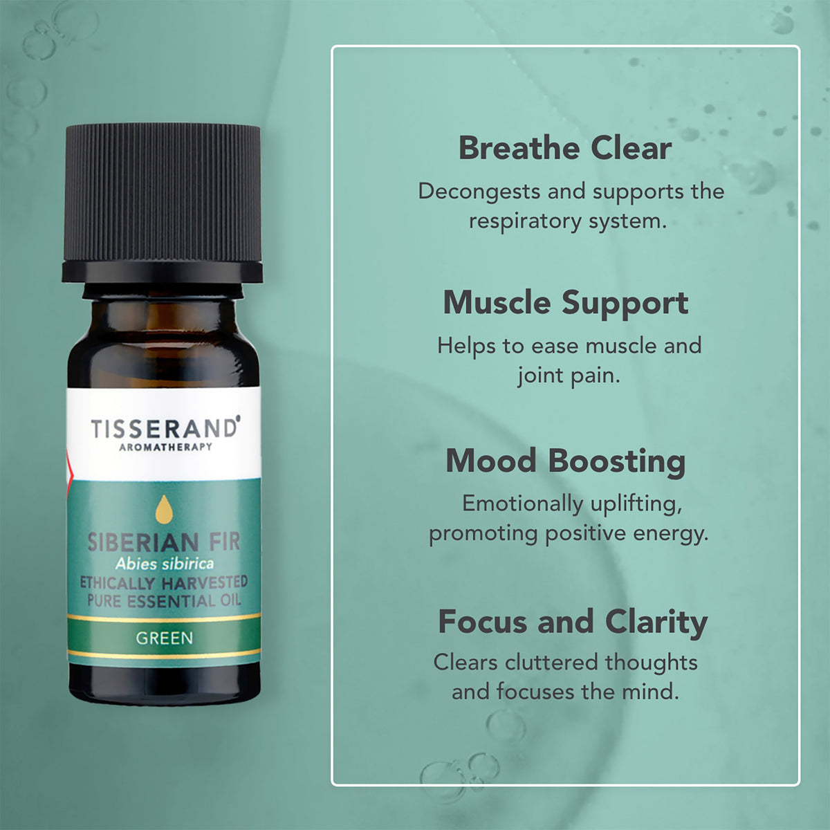 Siberian Fir Essential Oil