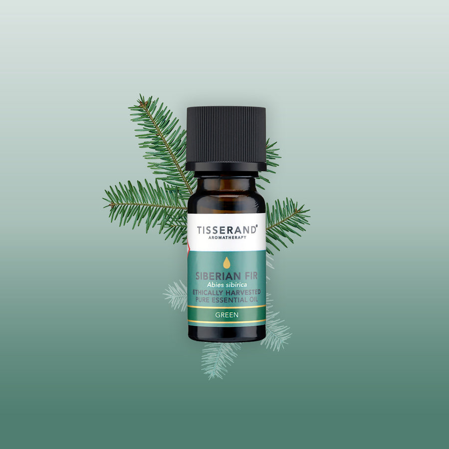 Siberian Fir Essential Oil