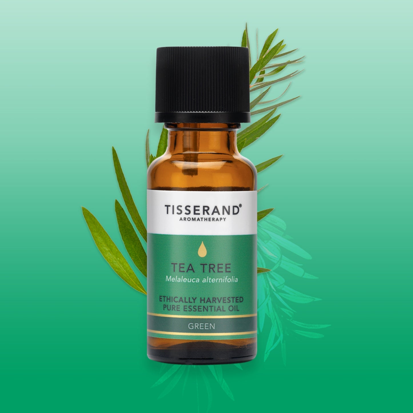 Tea Tree Ethically Harvested Essential Oil
