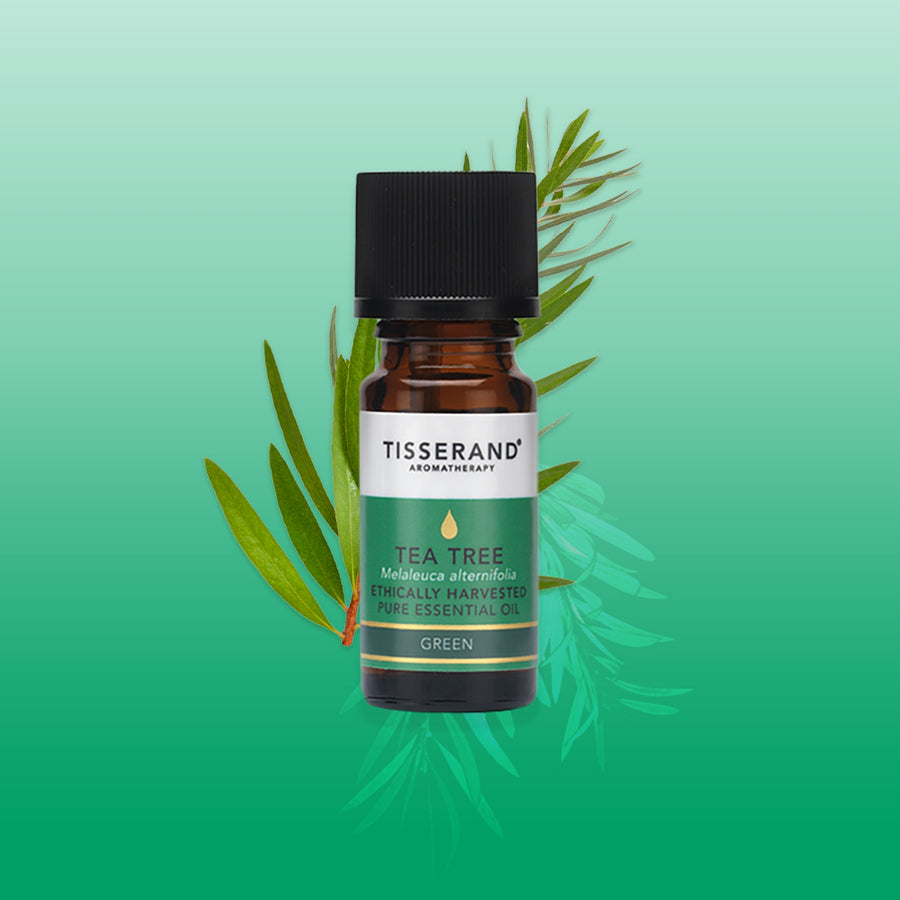 Tea Tree Ethically Harvested Essential Oil