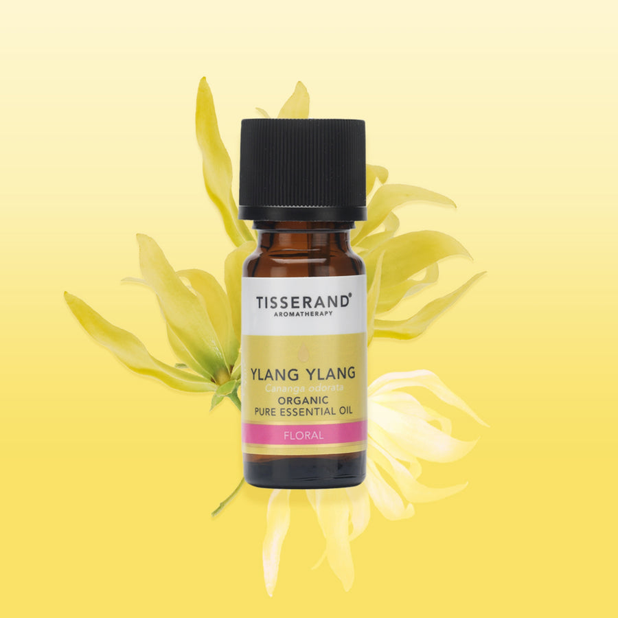Ylang Ylang Essential Oil