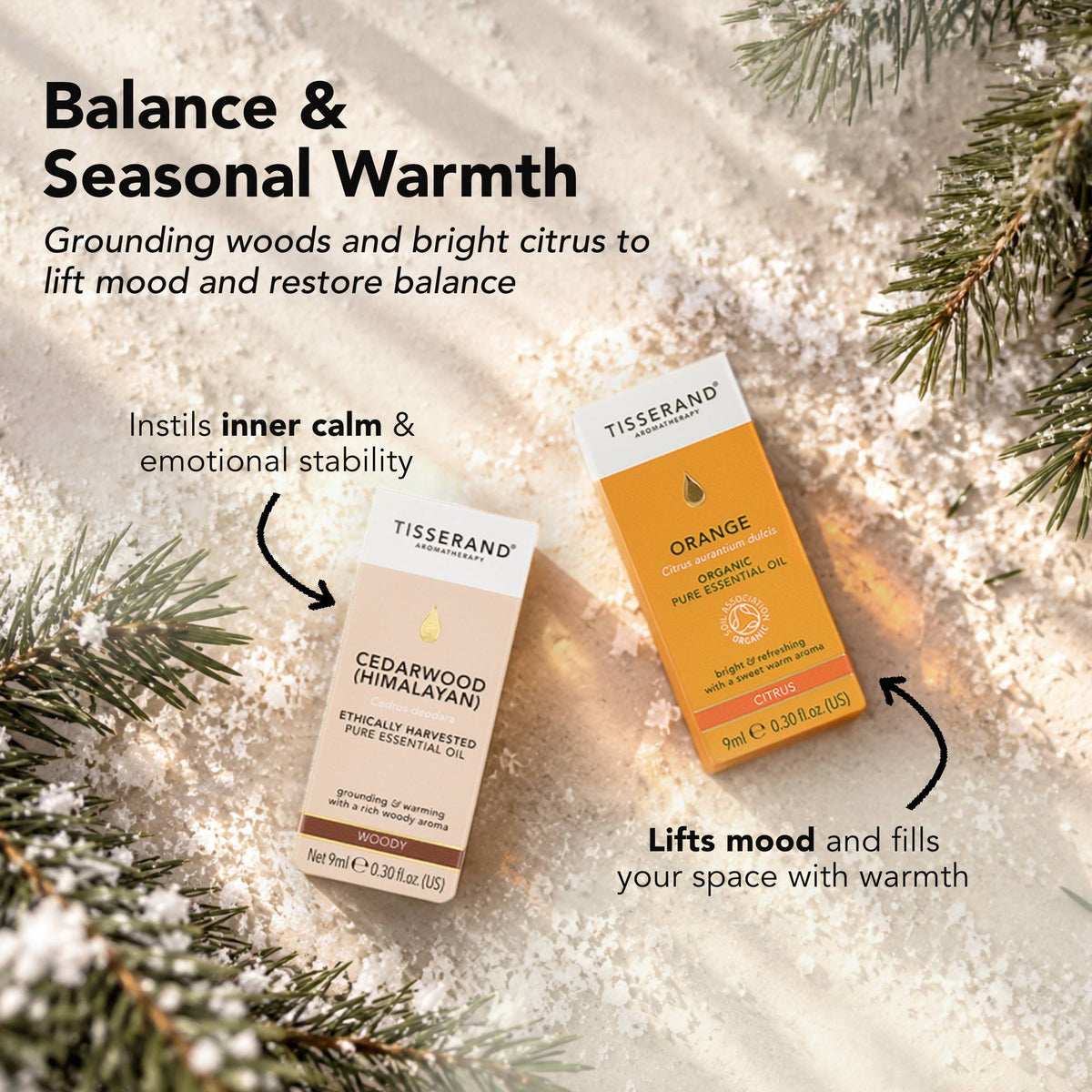 The Winter Restoration Collection