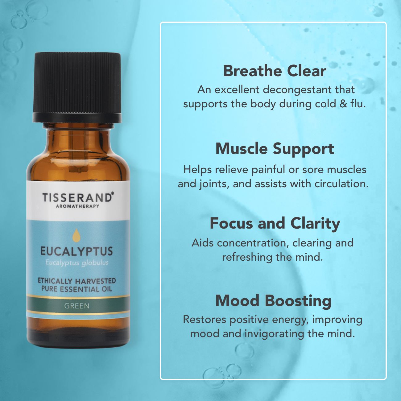 Eucalyptus Ethically Harvested Essential Oil