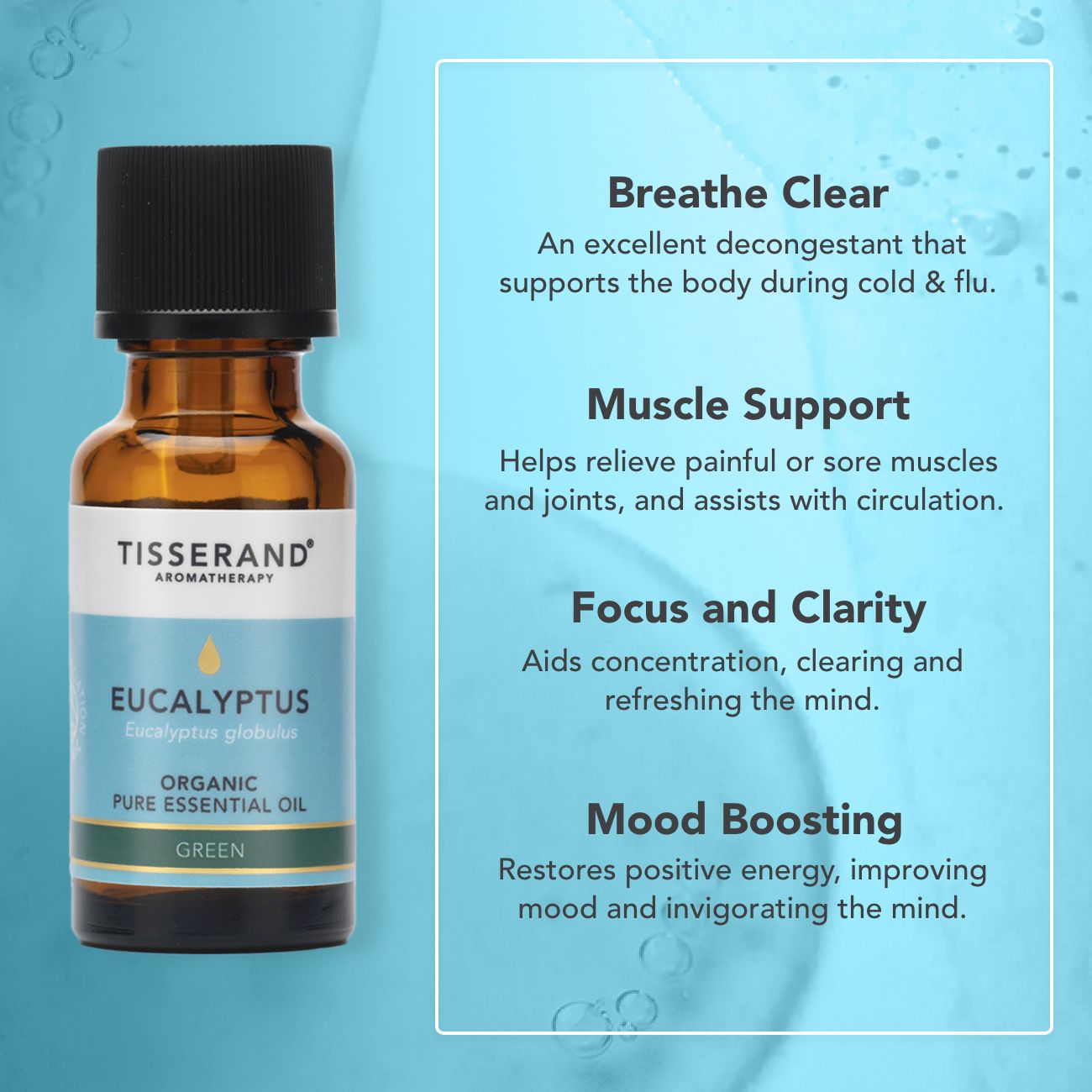 Eucalyptus Organic Essential Oil