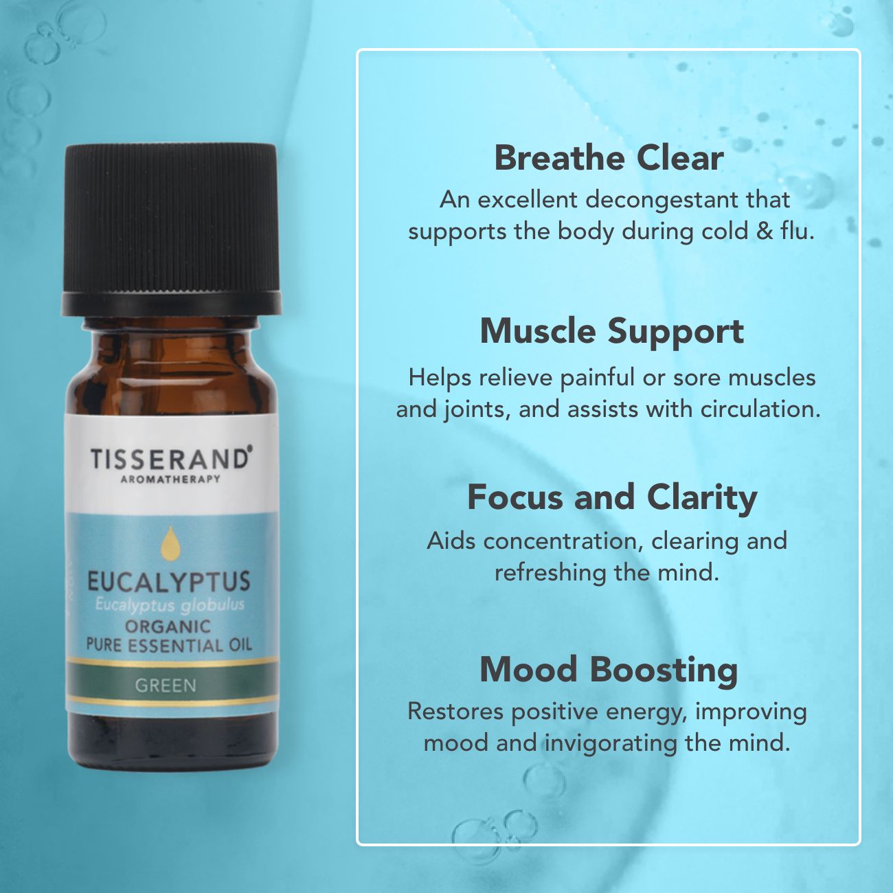 Eucalyptus Organic Essential Oil