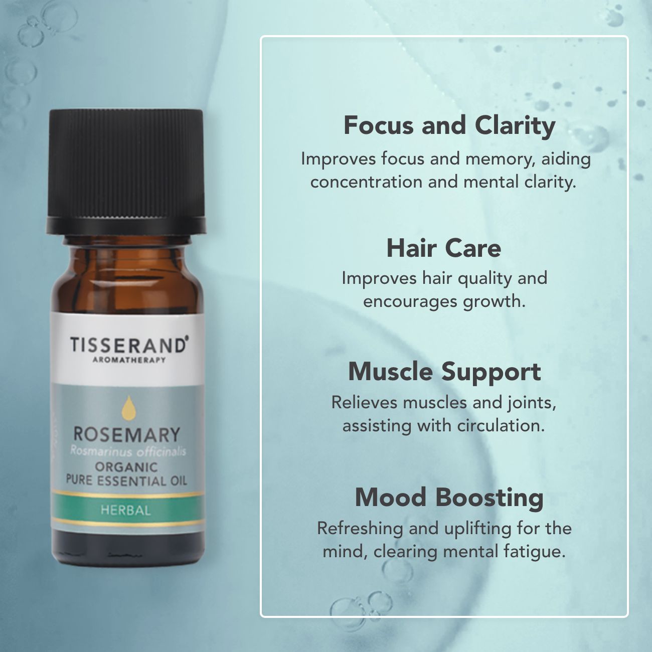 Rosemary Organic Essential Oil
