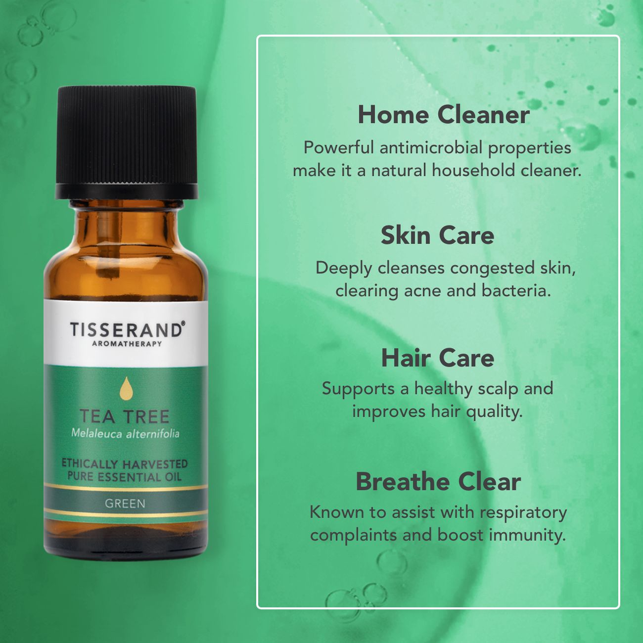 Tea Tree Ethically Harvested Essential Oil