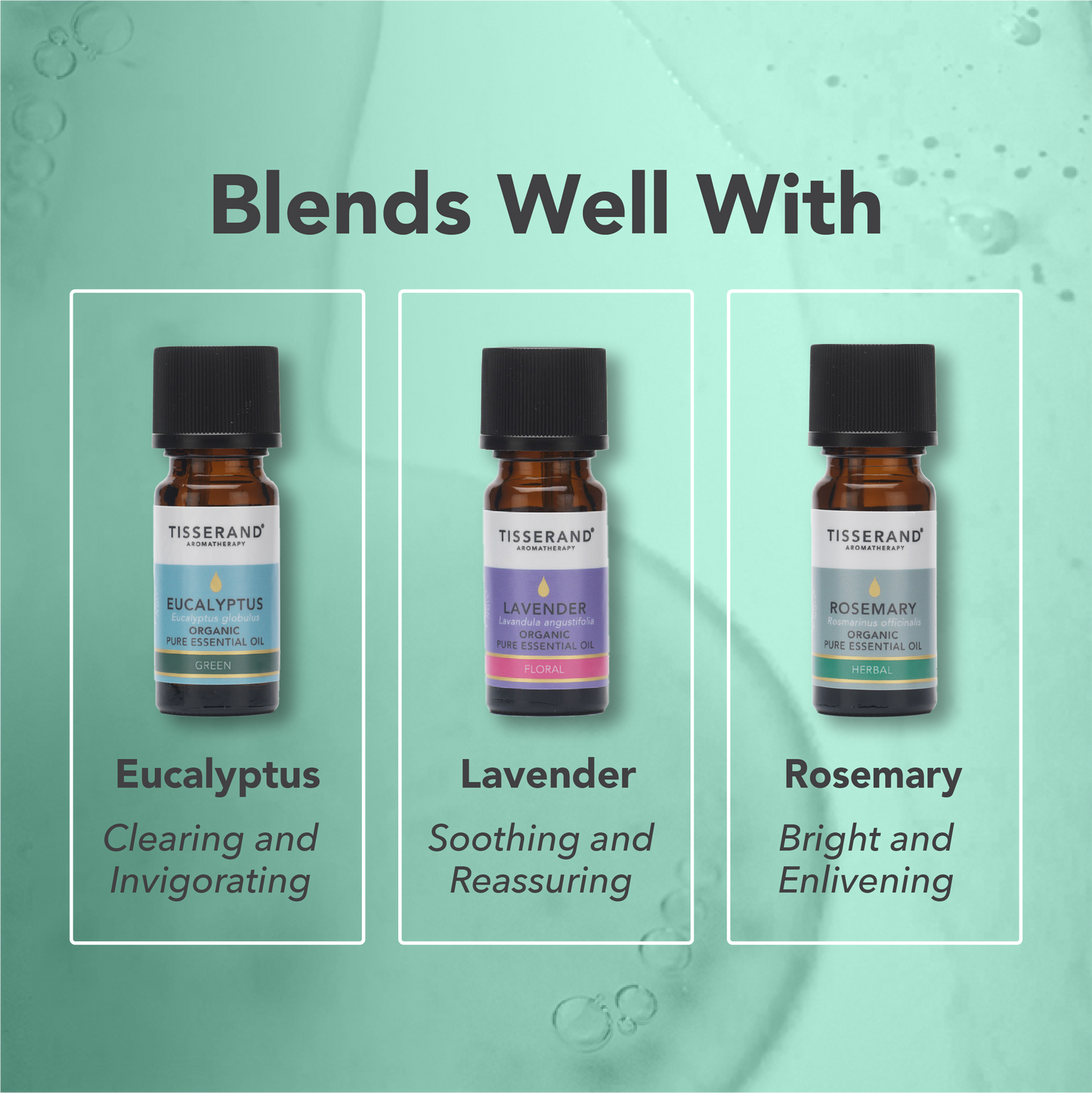 Peppermint Organic Essential Oil