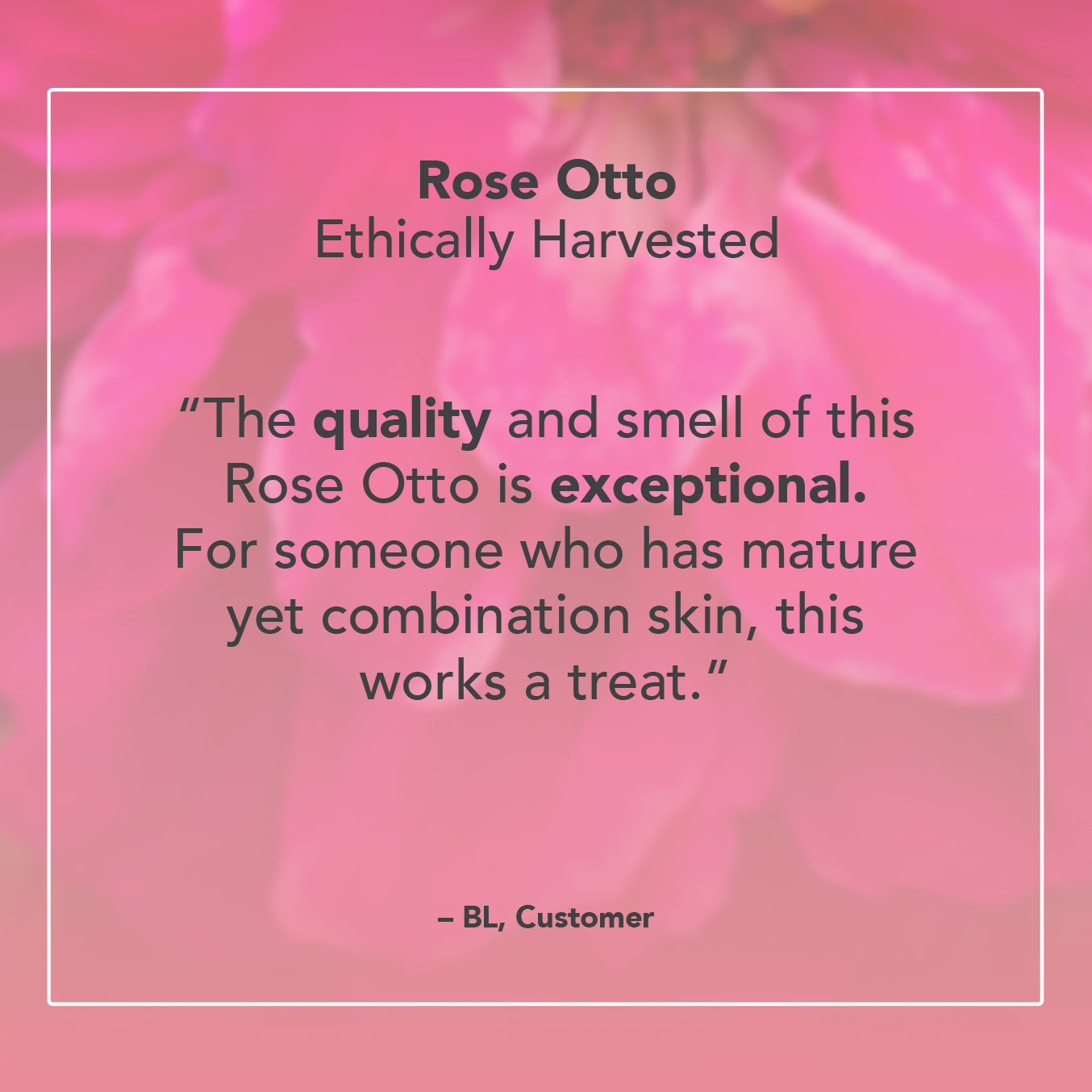 Rose Otto Essential Oil